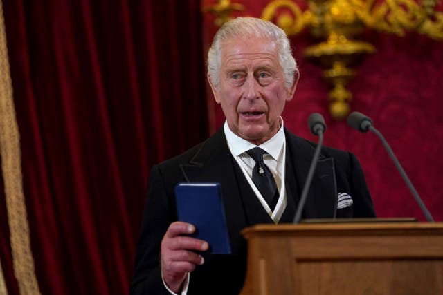King Charles III during the Accession Council (Victoria Jones/PA)