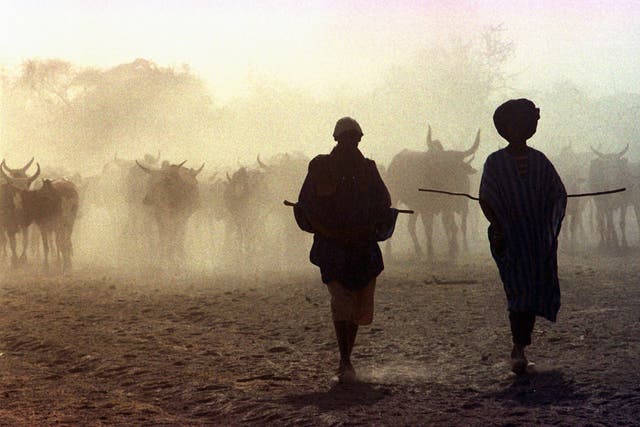 Mali Jihadi Cattle Raids