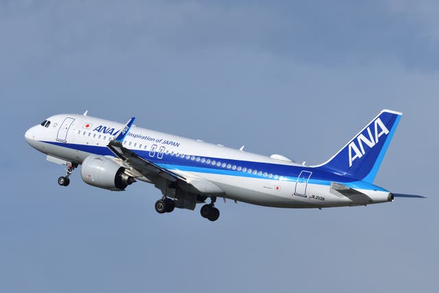 <p>All Nippon Airways decided not to honour accidentally discounted tickets</p>