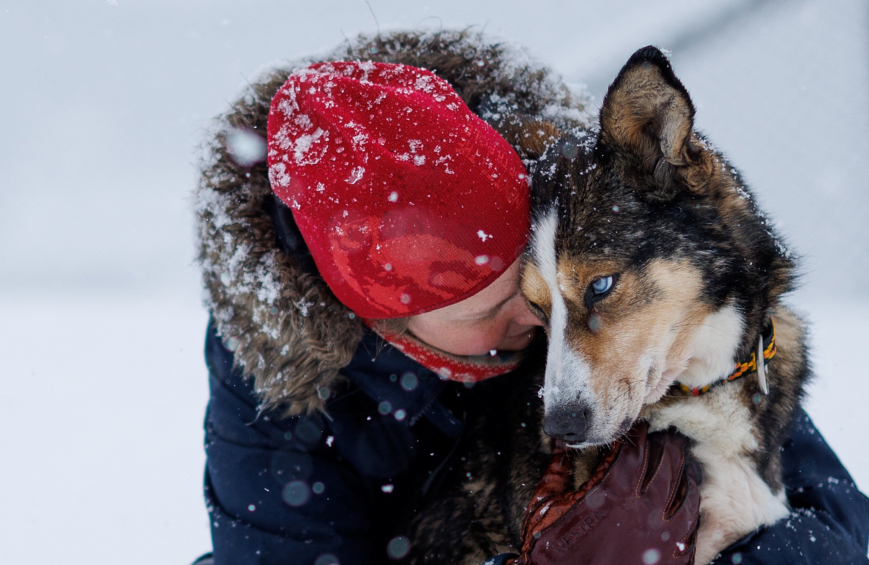 Kings Bay AS accountant Sunniva Berge Mo hugs her dog Zelda