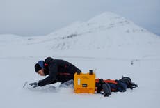 Polar bears and melting ice challenge scientists at world’s northernmost research station