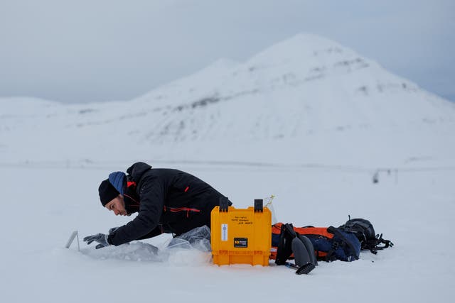 <p>Paul Scherrer Institute Switzerland chemist Francois Burgay, 34, prepares to take a snow sample to detect molecules connected to algal bloom in Ny-Alesund, Svalbard, Norway</p>