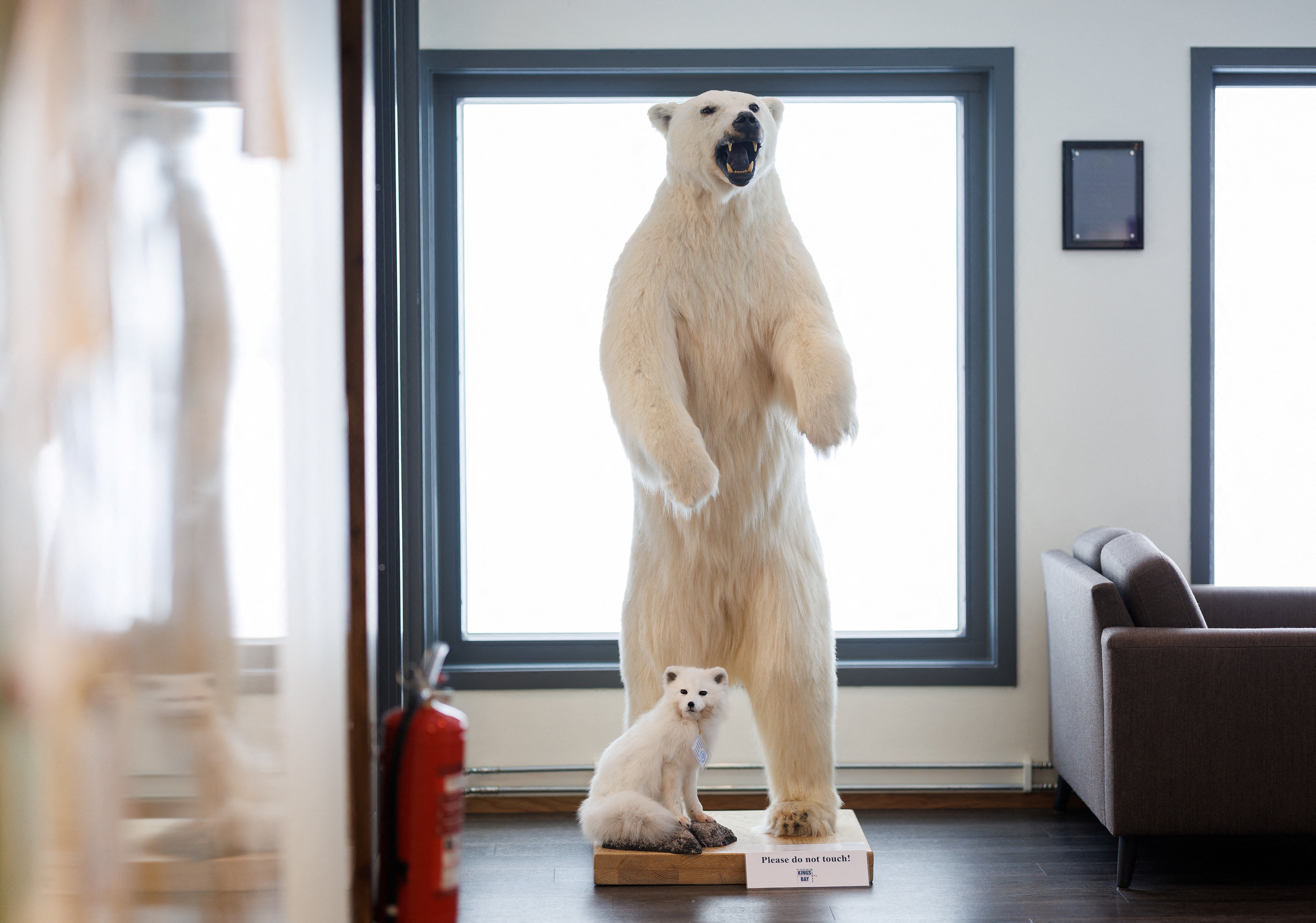 A taxidermied polar bear and Arctic fox are seen at the Kings Bay AS service building and canteen