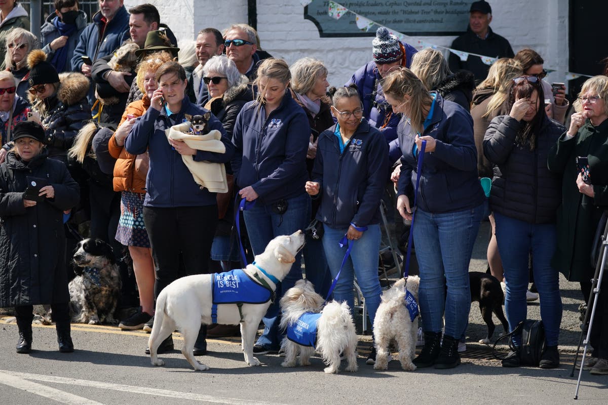 ‘An honest, noble and humble man’ – well-wishers pay tribute to Paul O’Grady