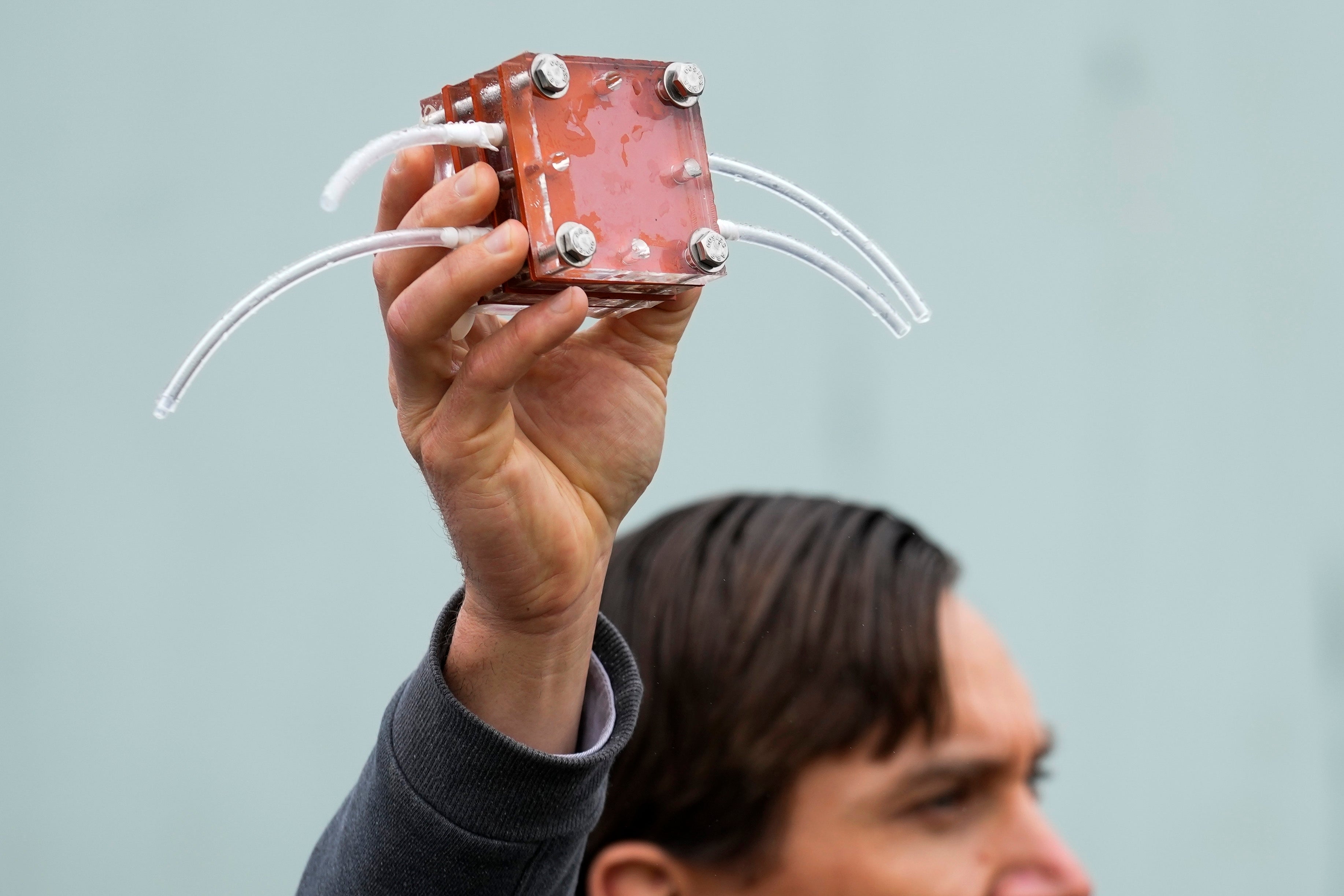 Ocean Removing Carbon