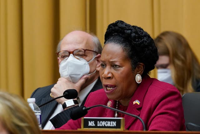 <p>Rep Sheila Jackson Lee speaks in support of Democratic gun control measures in Washington DC on June 2 2022. The congress member has been diagnosed with cancer </p>