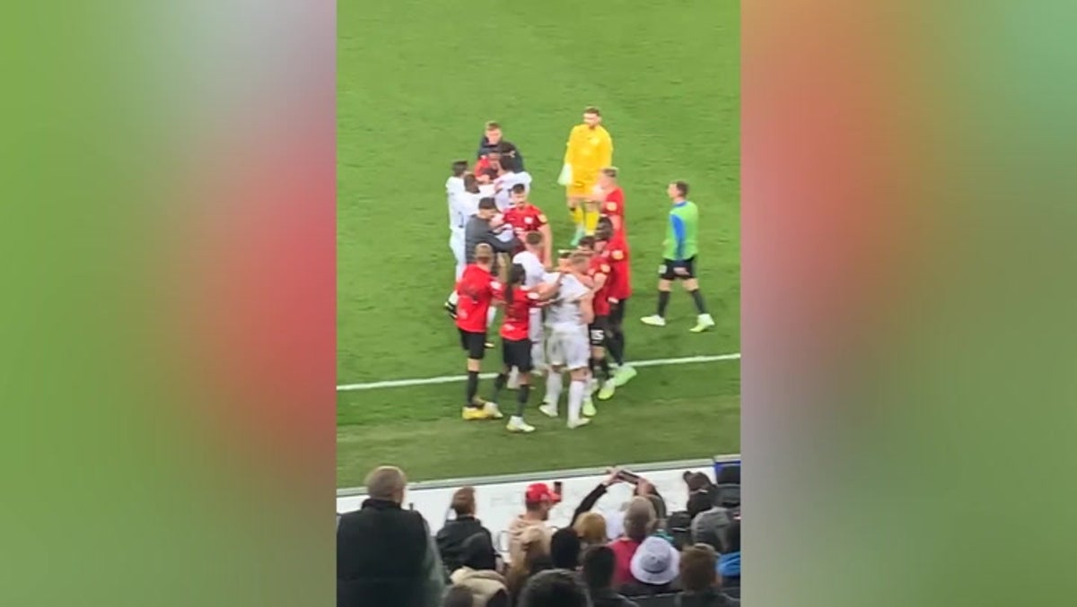 Moment mass brawl erupts between Swansea and Preston players and staff