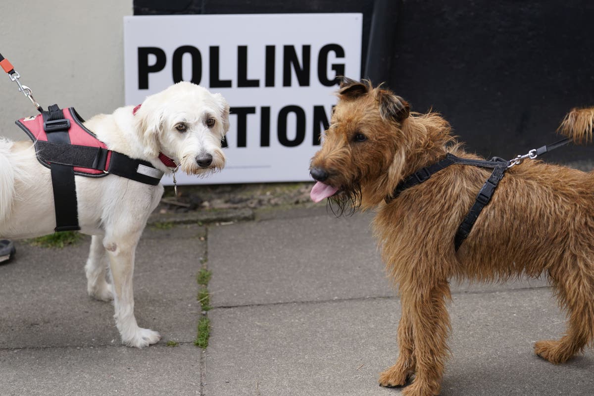 Provisional May 5 council election declaration times