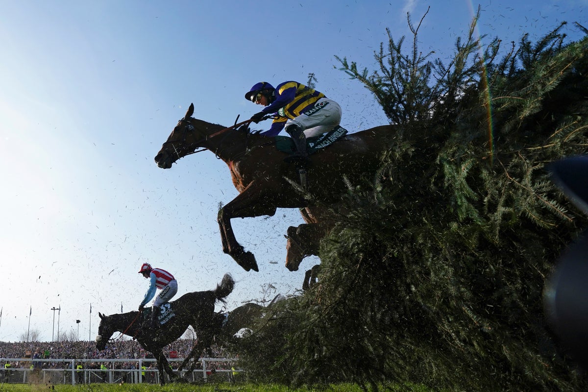 Grand National to cut field size after safety measures for Aintree announced