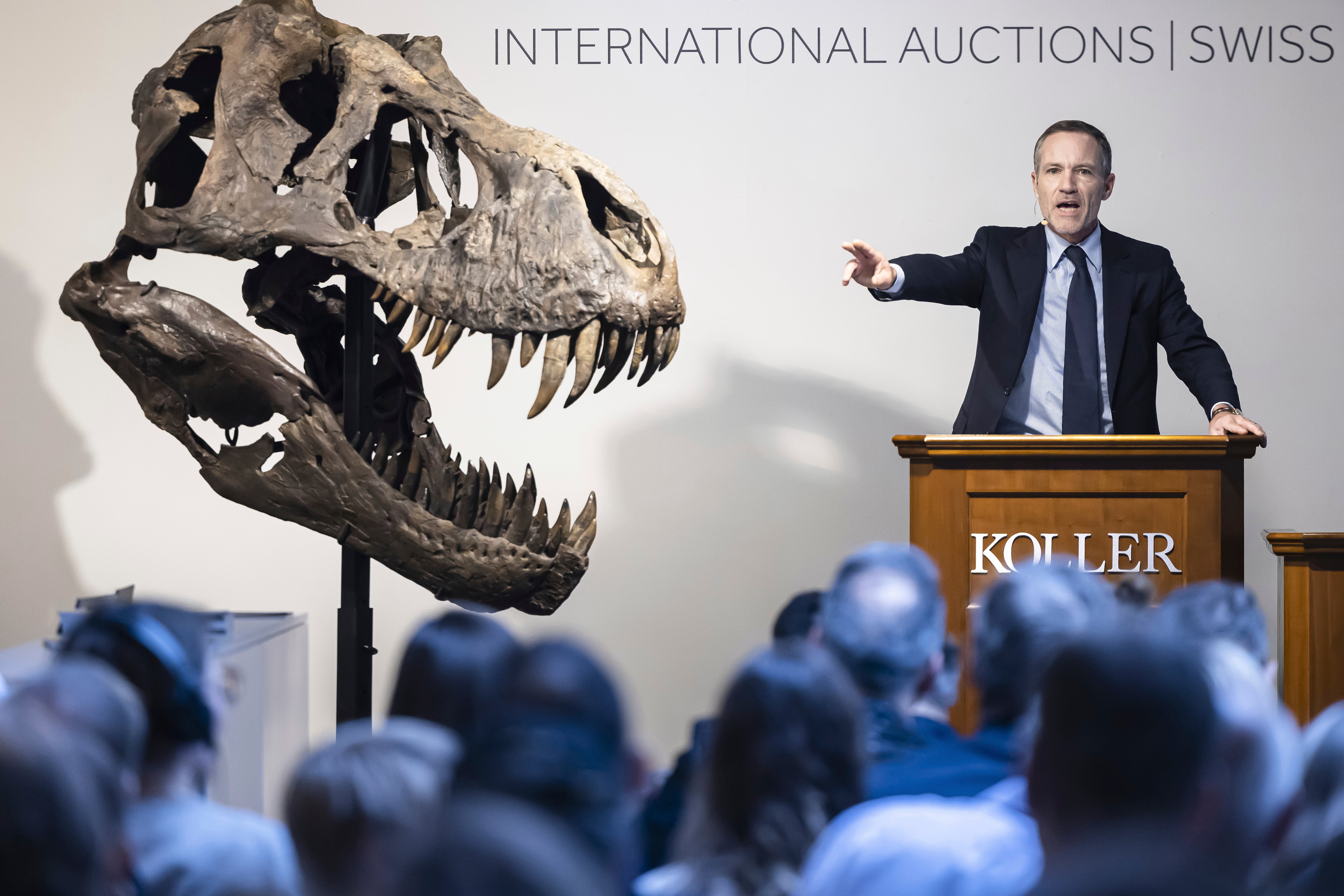 Switzerland Dinosaur Auction