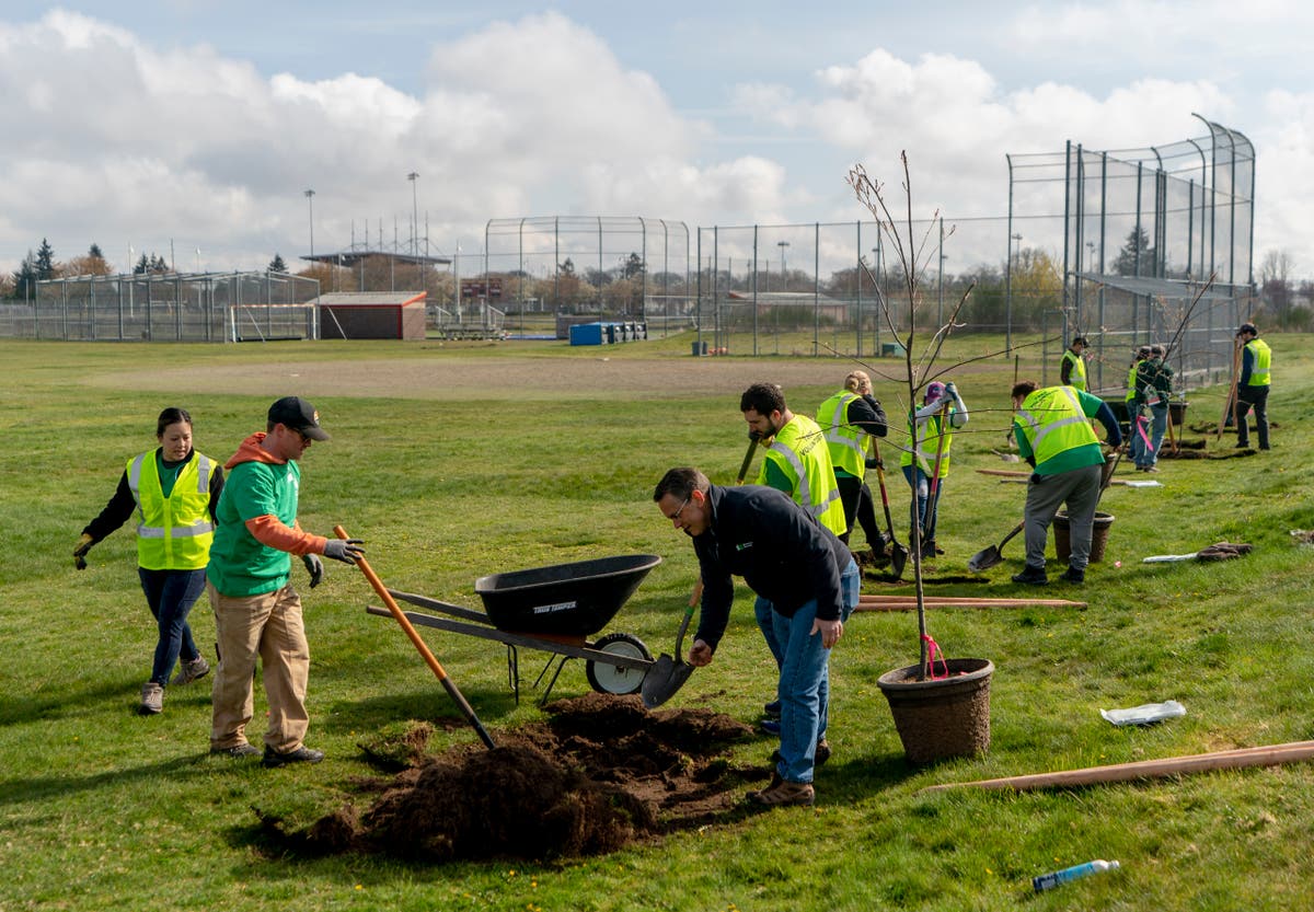 A Historic Investment in Urban Trees Underway Across the United States
