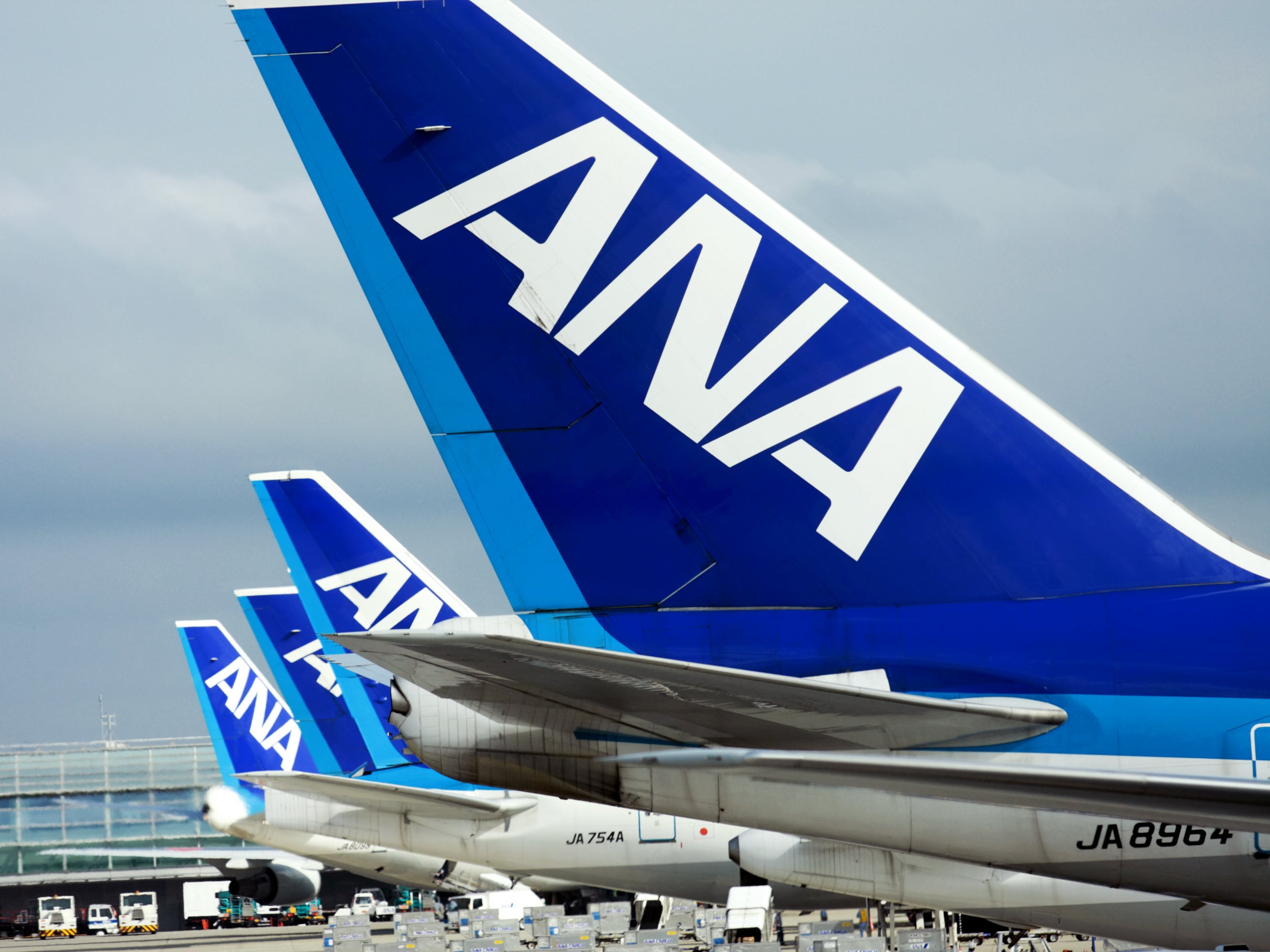 The All Nippon Airways (ANA) flight was forced to return to Haneda Airport in Tokyo in the early hours of Wednesday morning