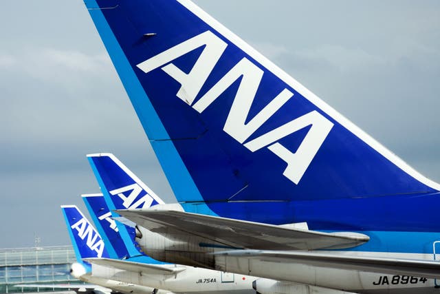 <p>Jet airplanes operated by All Nippon Airways (ANA) waiting to mainetnance, loading and boarding at Haneda airport in Tokyo, Japan</p>
