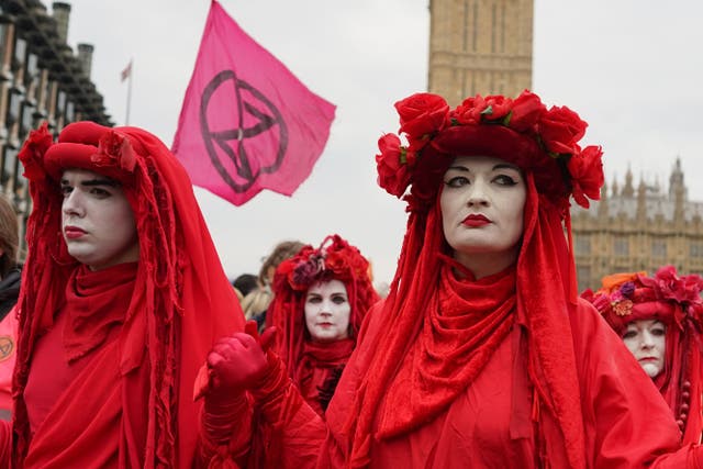 Extinction Rebellion demonstrators take part in a rally in London (PA)