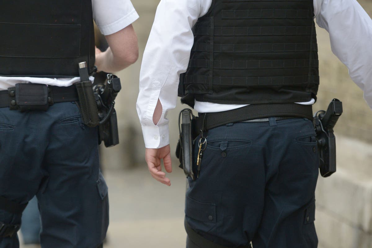 Police ‘failing’ deaf and migrant sexual assault victims with communication needs