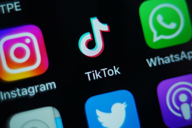 TikTok was banned on Government devices earlier this year (PA)