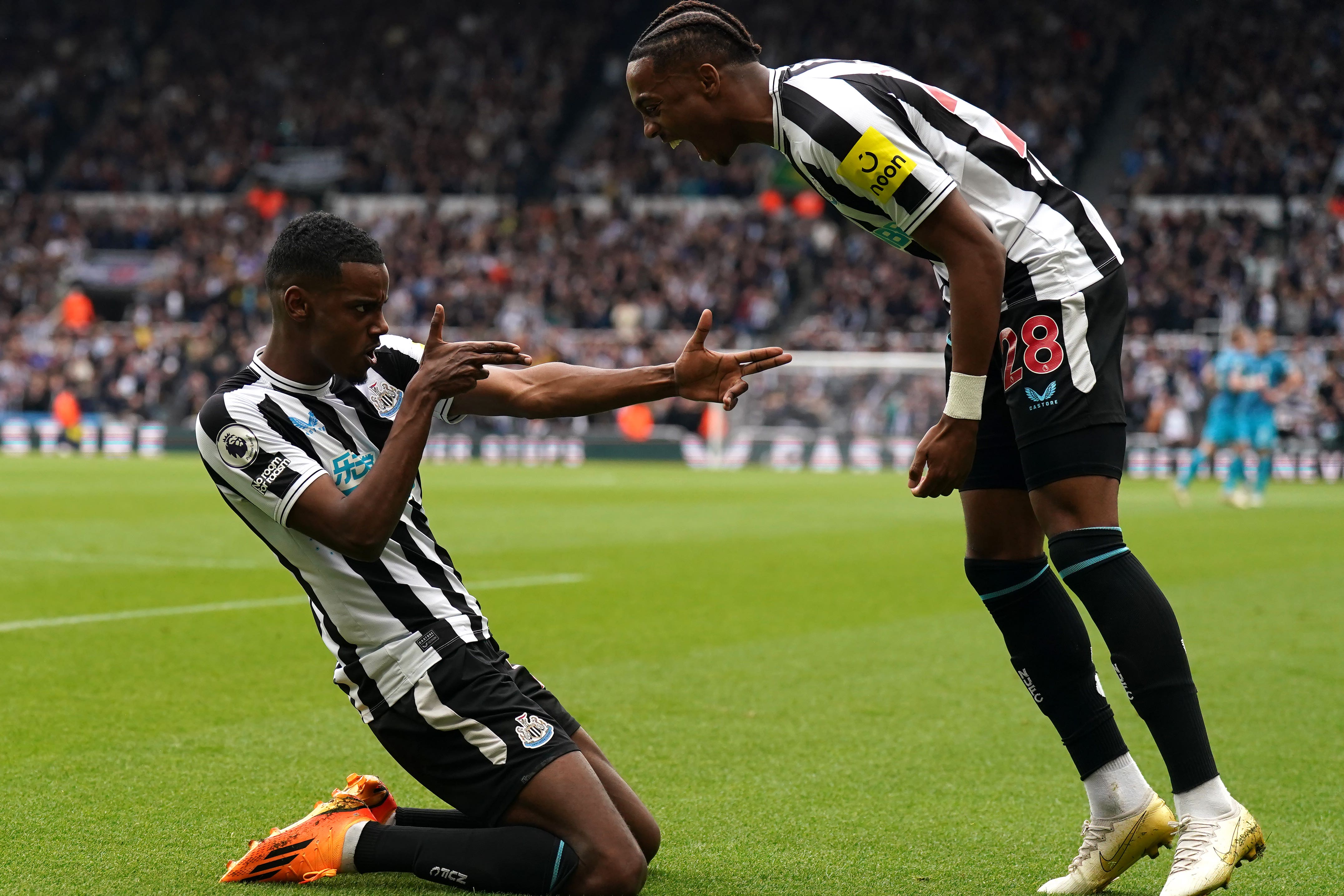 Newcastle are on course for Champions League qualification (Owen Humphreys/PA).