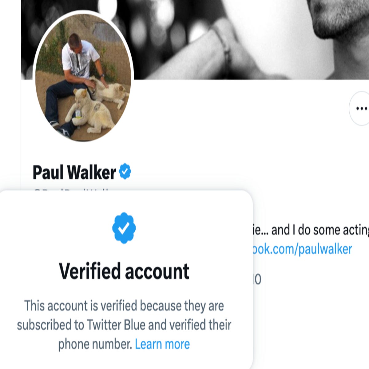How long does Twitter Blue verification take? - Owlead