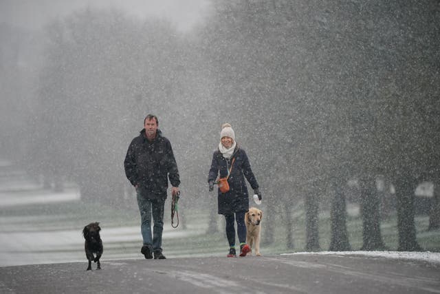 <p>File image: Dog walkers in early morning snow at Windsor Castle on 8 March 2023</p>