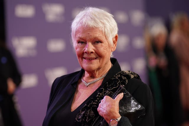 <p>Dame Judi Dench</p>