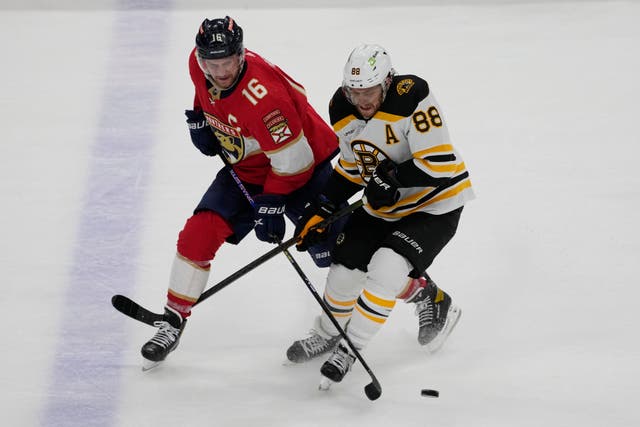 Bruins Panthers Hockey