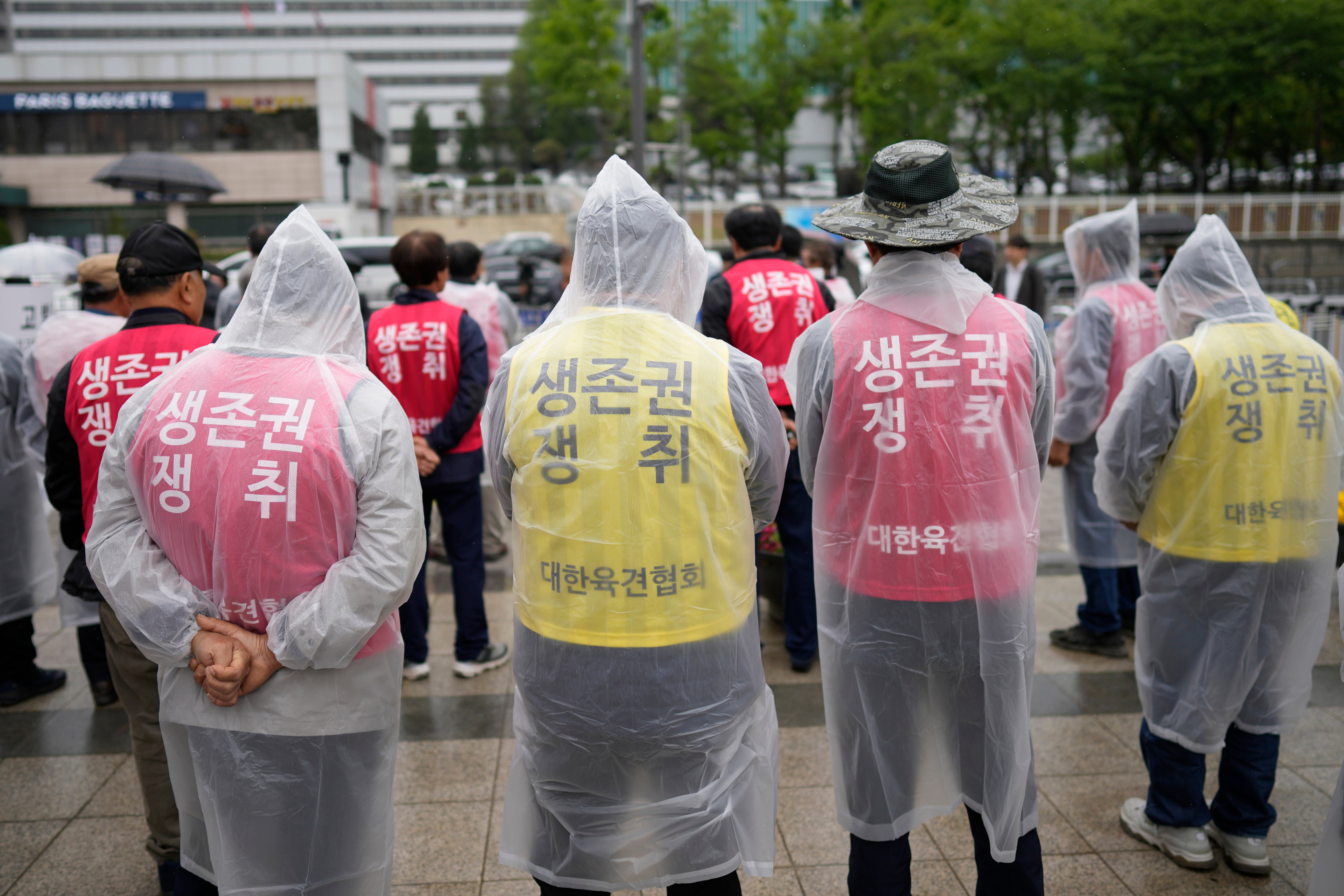 South Korea Dog Meat