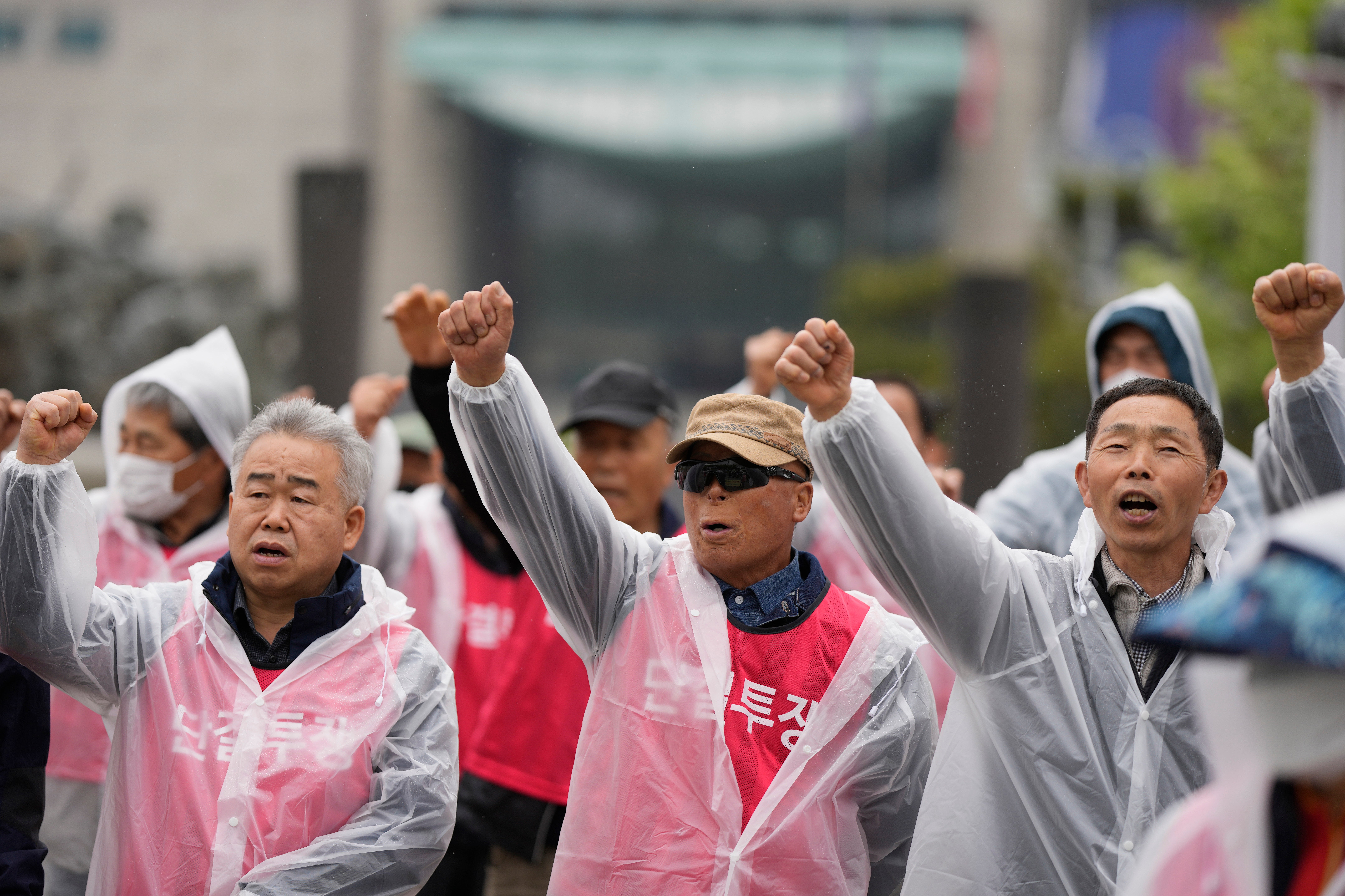 South Korea Dog Meat