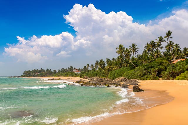 <p>Sri Lanka is home to some of the world’s finest beaches </p>