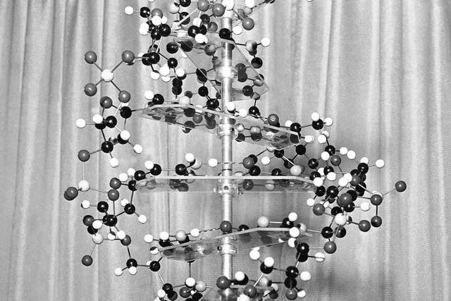 Rosalind Franklin DNA