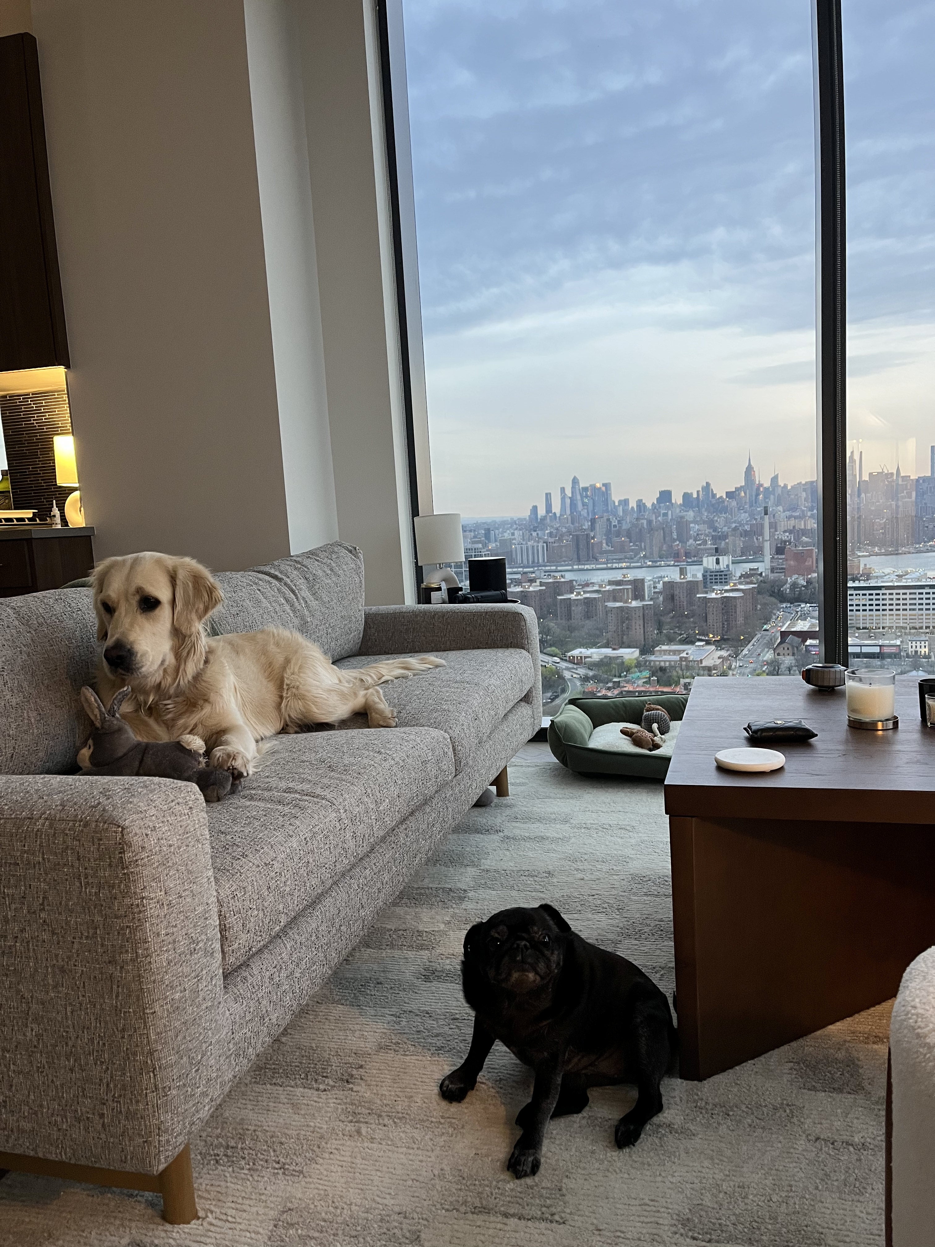 The pair our now settling into their new home in New York