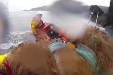 RNLI reunites injured puppy with owners after six hours trapped on coastal ledge