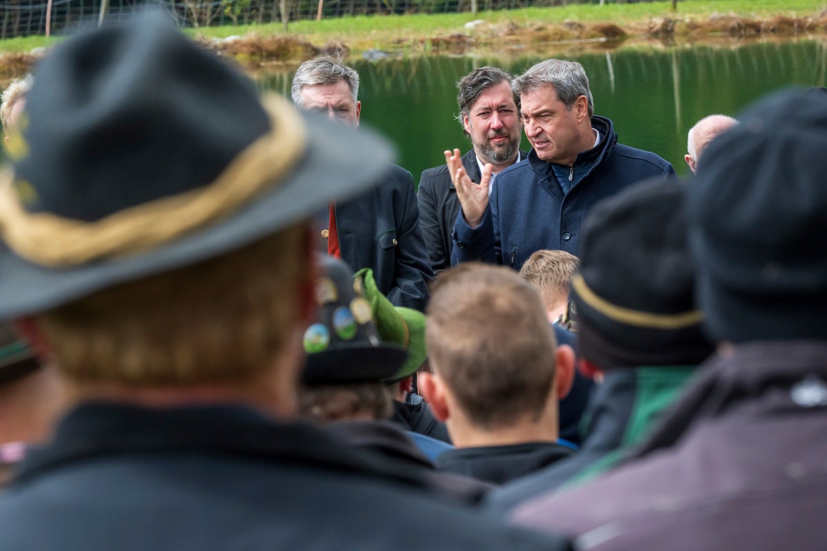 Bavaria to make it easier to shoot wolves in Alpine region | The ...