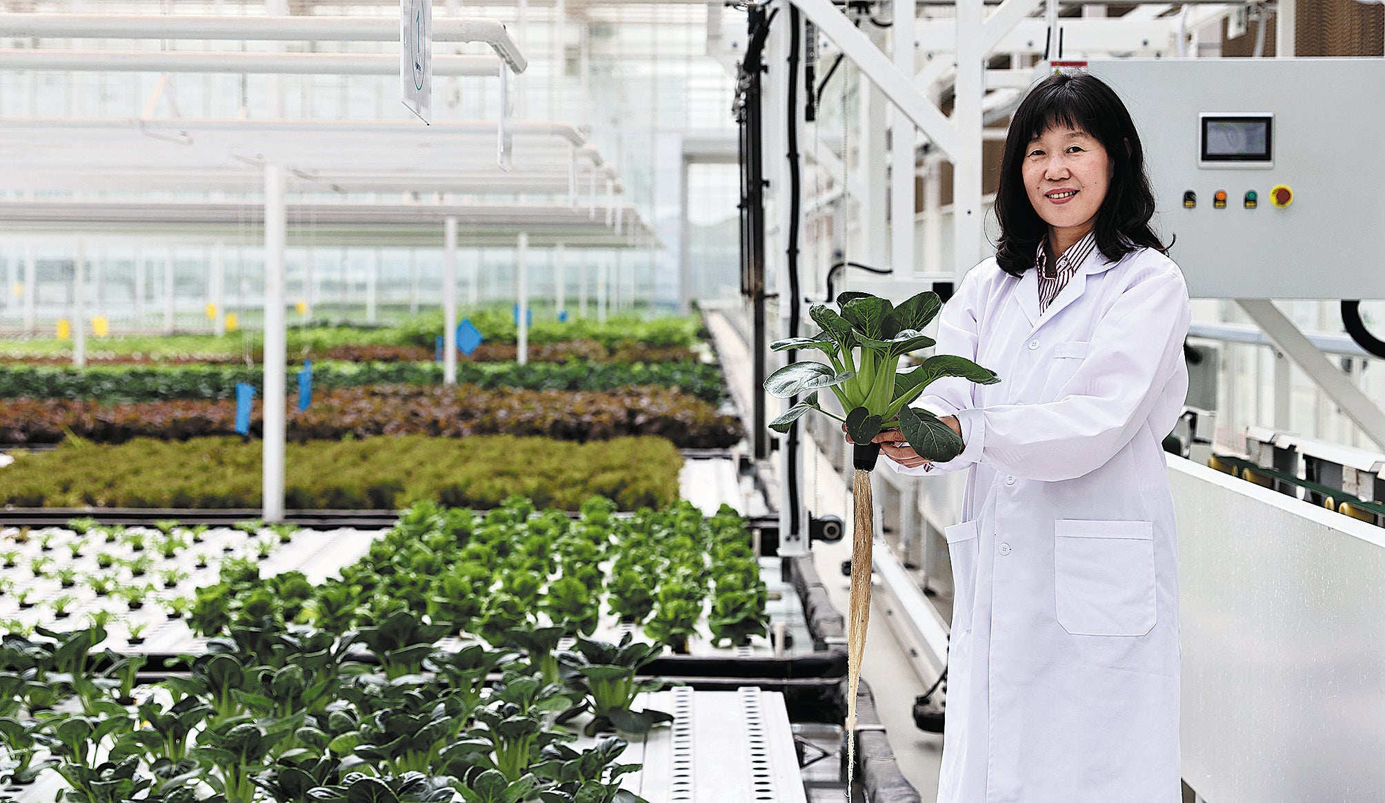 Wei Lingling, chief executive of Beijing AgriGarden Co, displays a green-leaf vegetable grown in a workshop