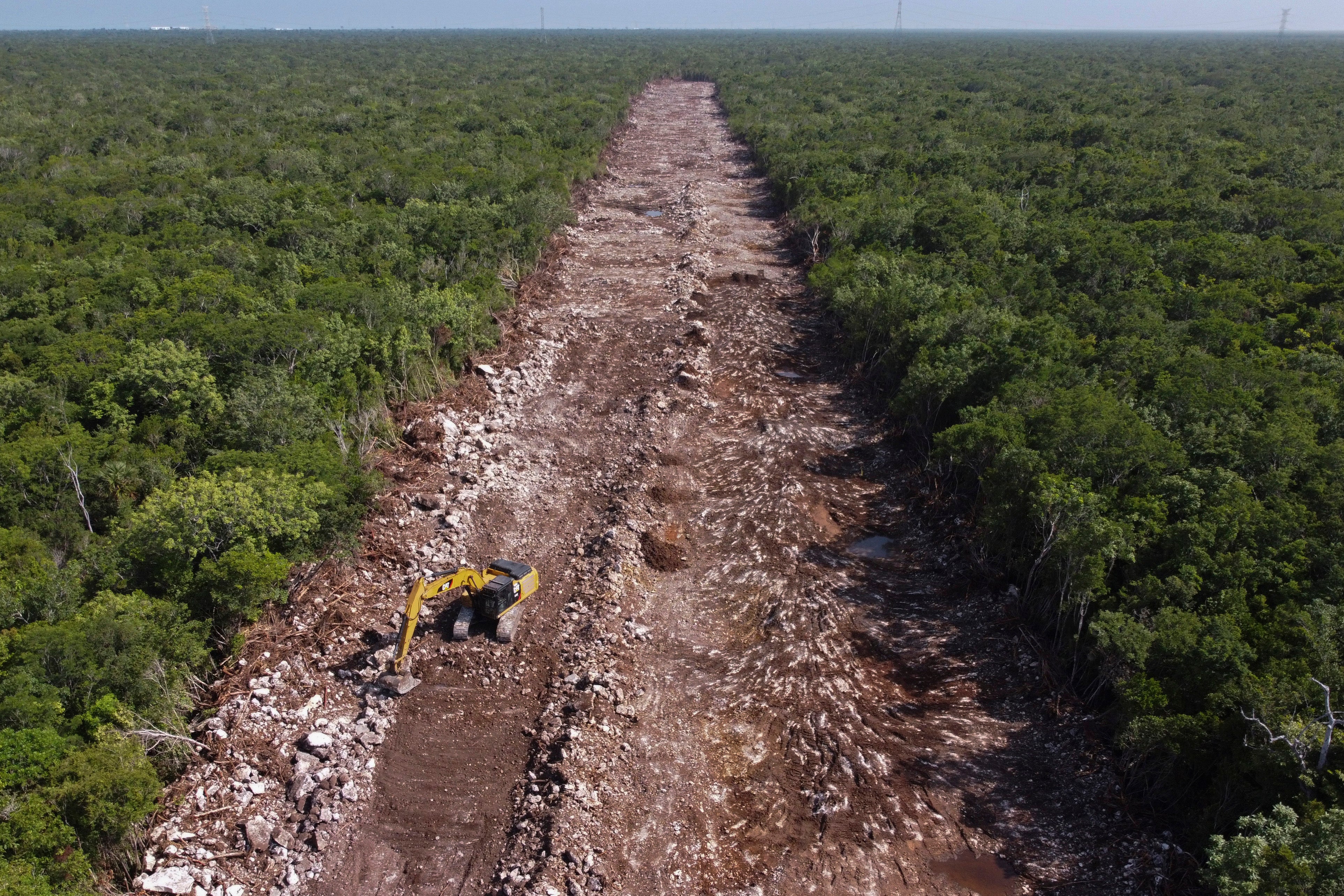 MÉXICO-TREN MEDIO AMBIENTE