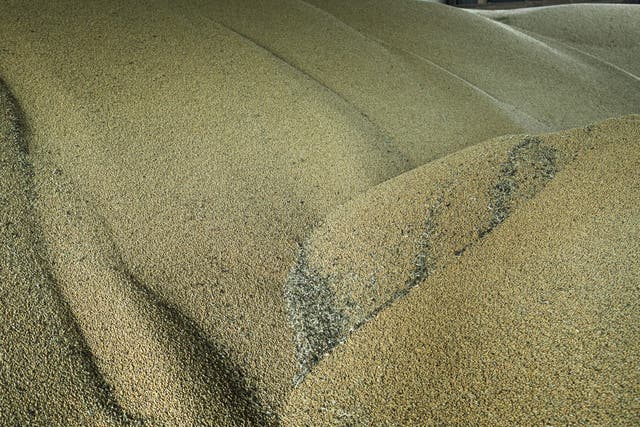 Ukraine Grain Exports
