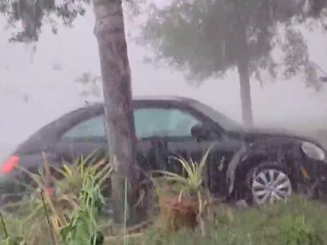 <p>Hail pummels a car during a freak weather event in Melbourne, Florida</p>