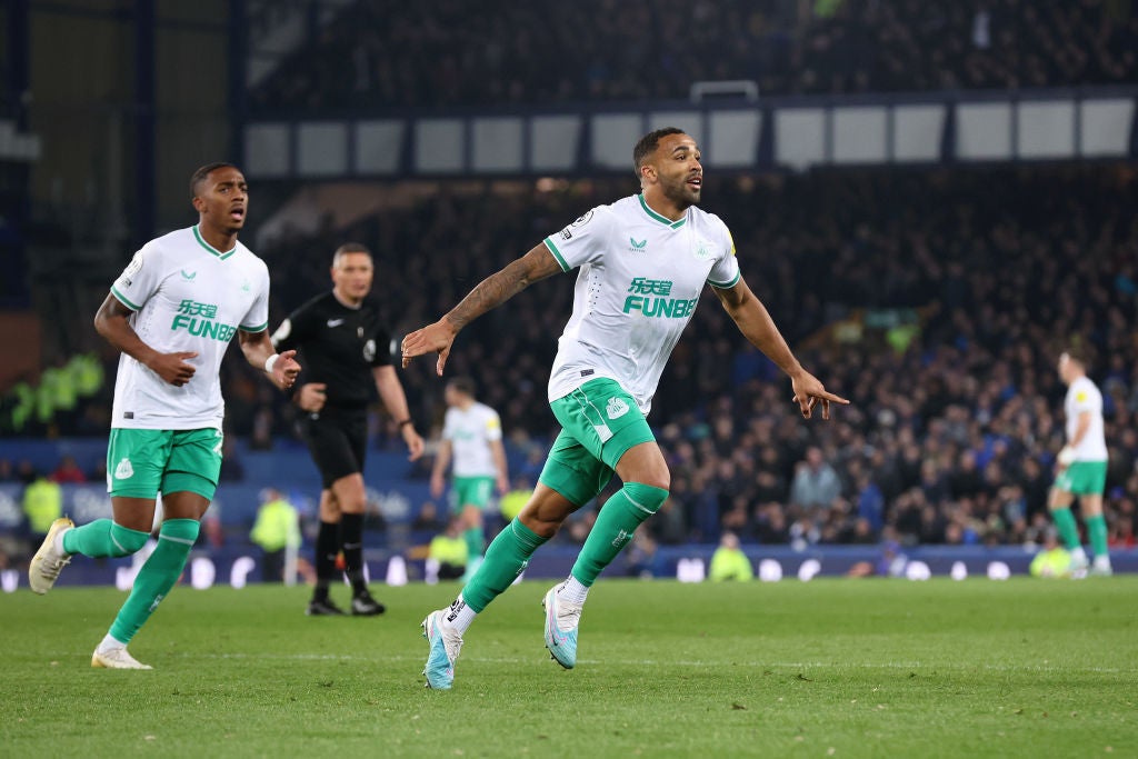 Everton vs Newcastle United LIVE Premier League result, final score and reaction The Independent
