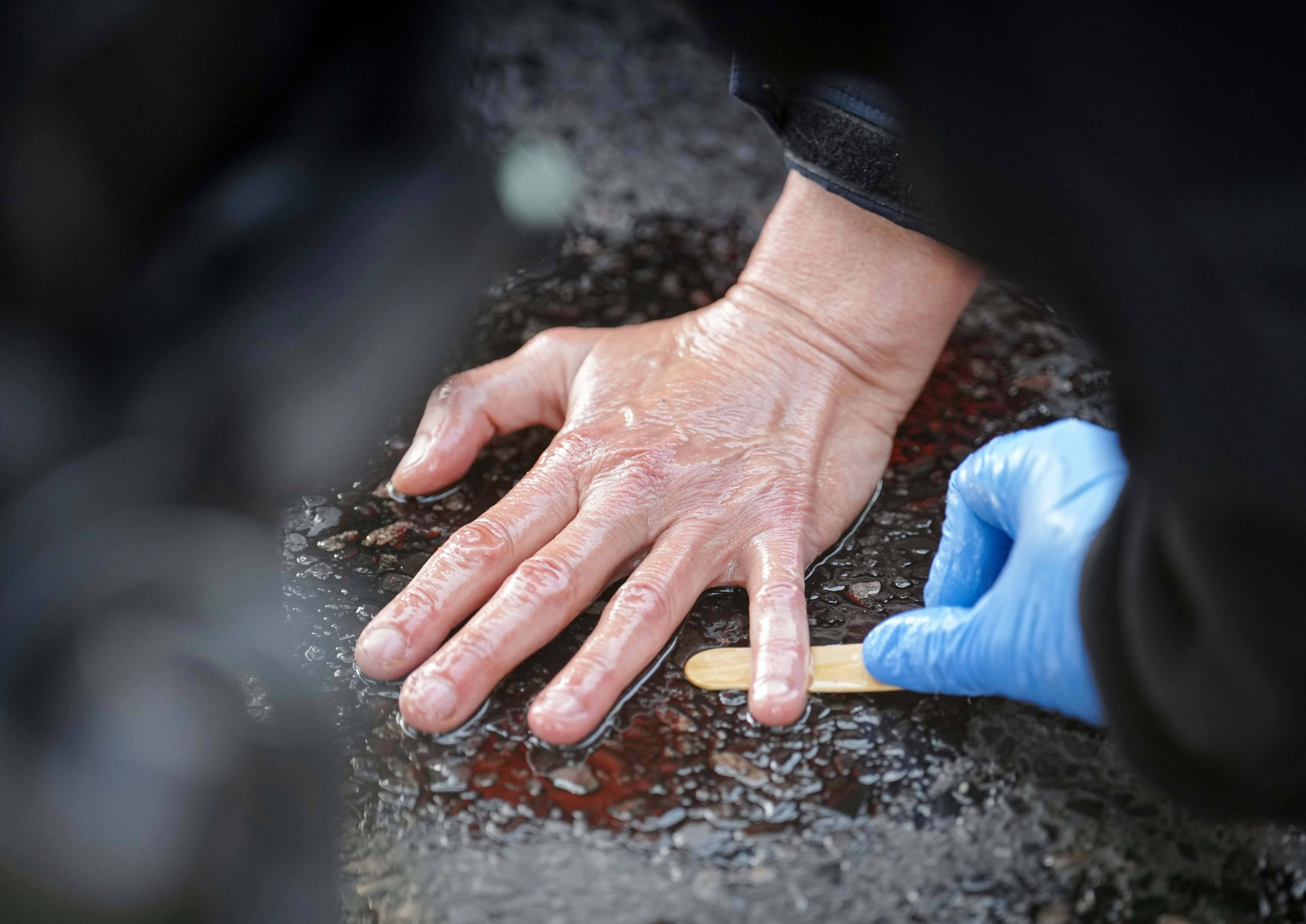 Germany Climate Protests