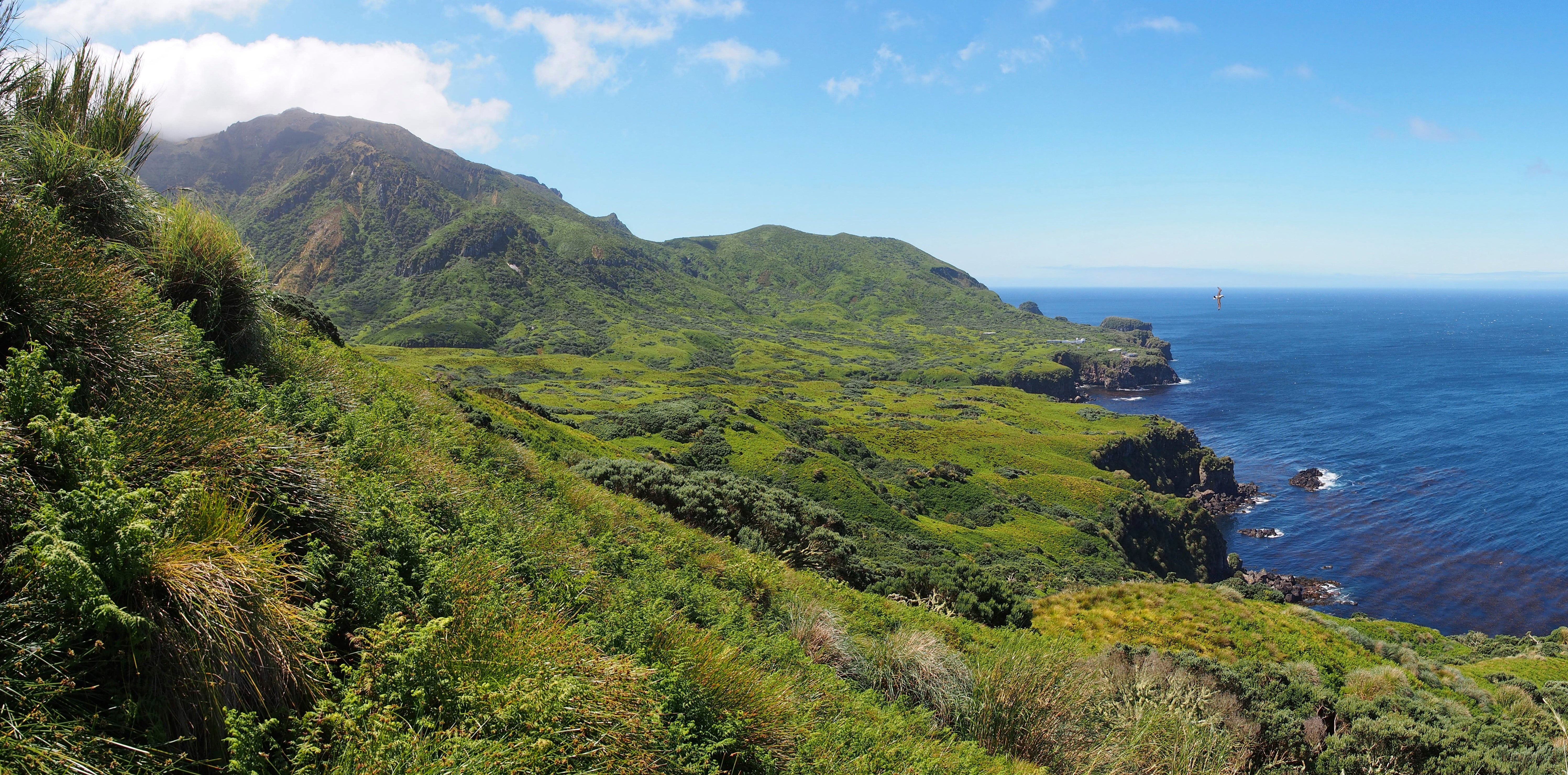 Gough Island World Heritage Site, South Atlantic, December 2017.