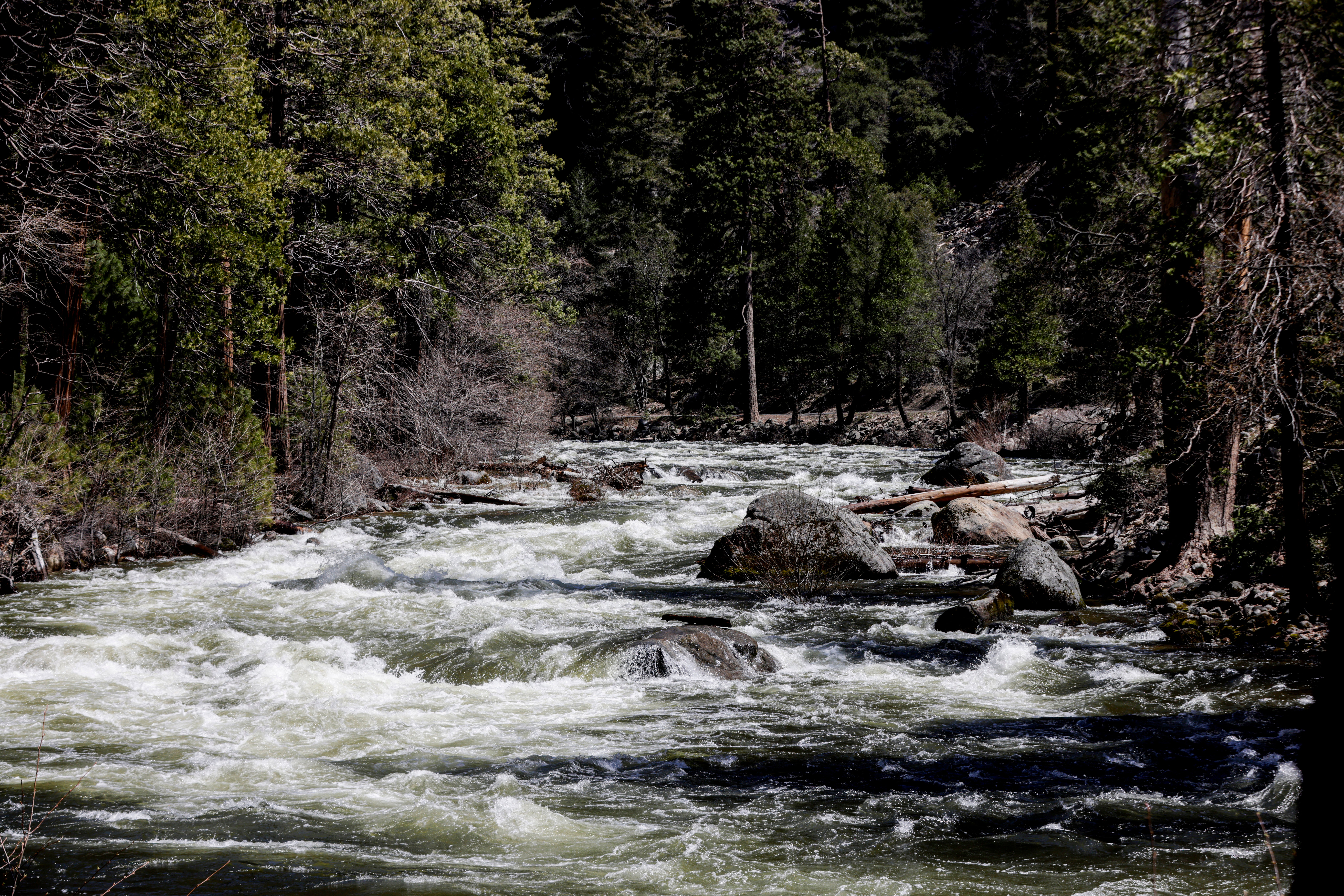 The Merced River rages through Yosemite National Park, Calif., on Tuesday, April 25, 2023.