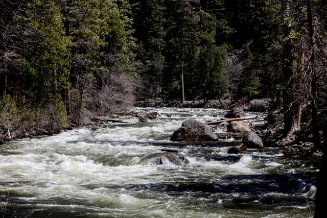 <p>The Merced River rages through Yosemite National Park, Calif., on Tuesday, April 25, 2023. </p>