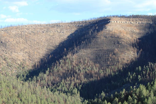 EEUU-INCENDIOS