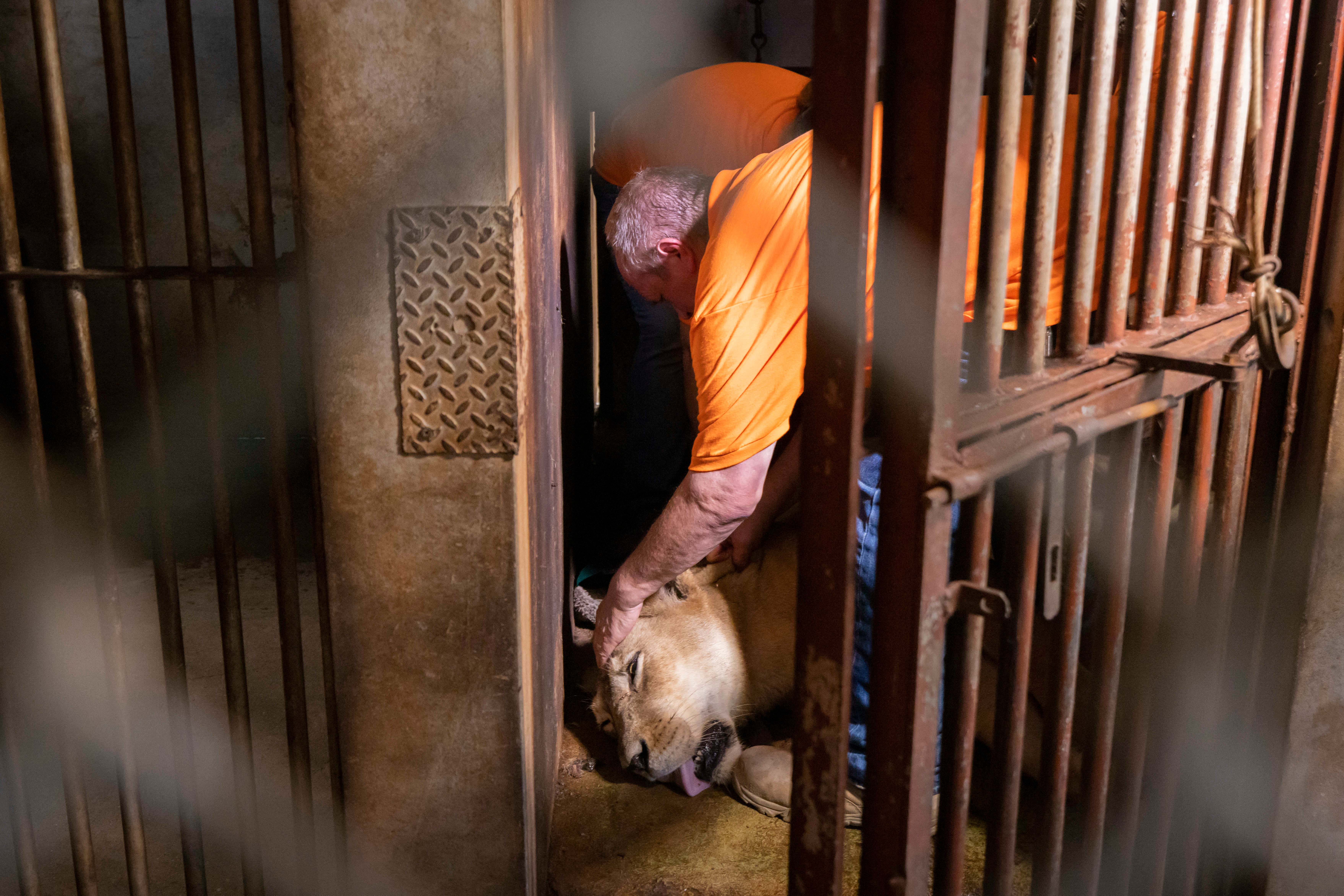 APTOPIX Puerto Rico Zoo