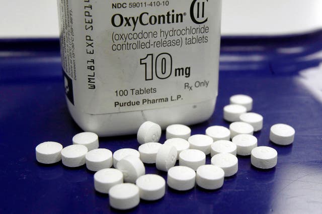 <p>OxyContin pills are arranged for a photo at a pharmacy in Montpelier</p>