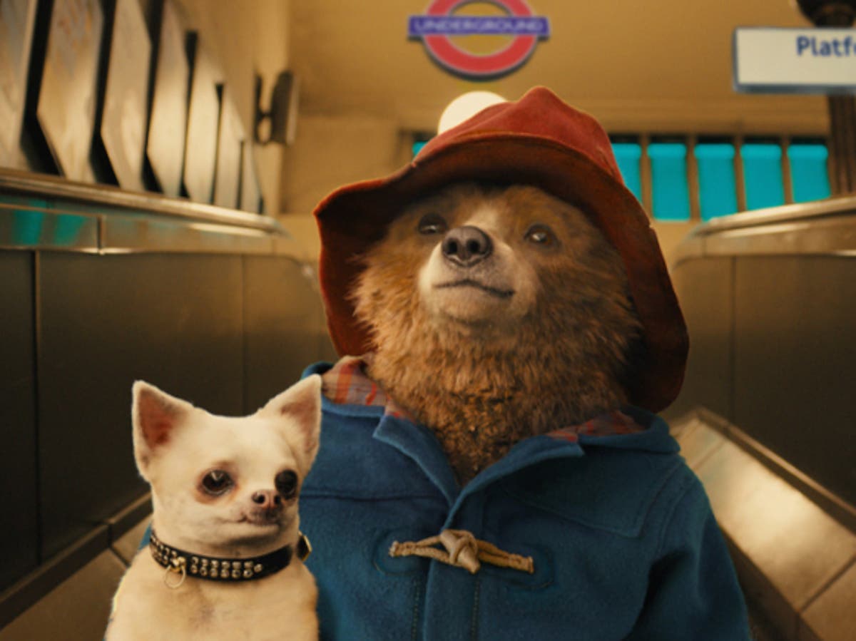 Paddington 3 unveils 2024 release date