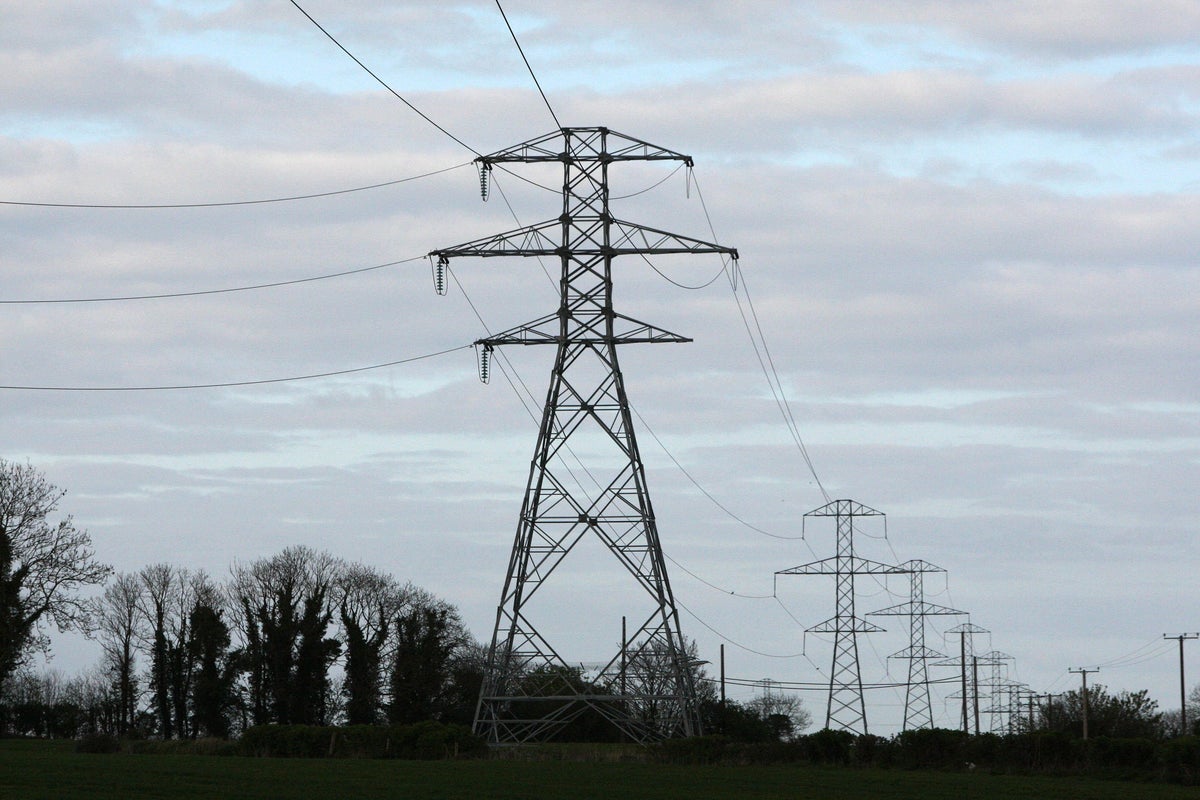 Lib Dem raises concerns about planned new power line with both Sunak and Yousaf