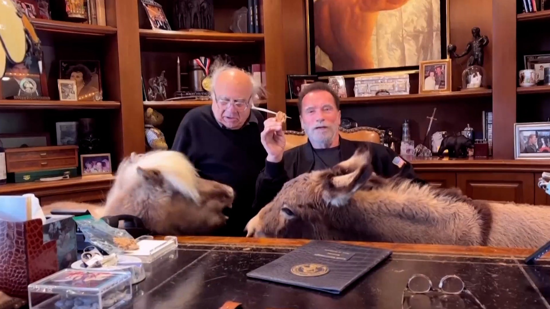 <p>Arnold Schwarzenegger and Danny DeVito intro White House Correspondents' Dinner with hilarious speech</p>