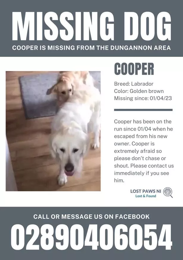 Posters were widely spread in hope of finding Cooper while he was still missing