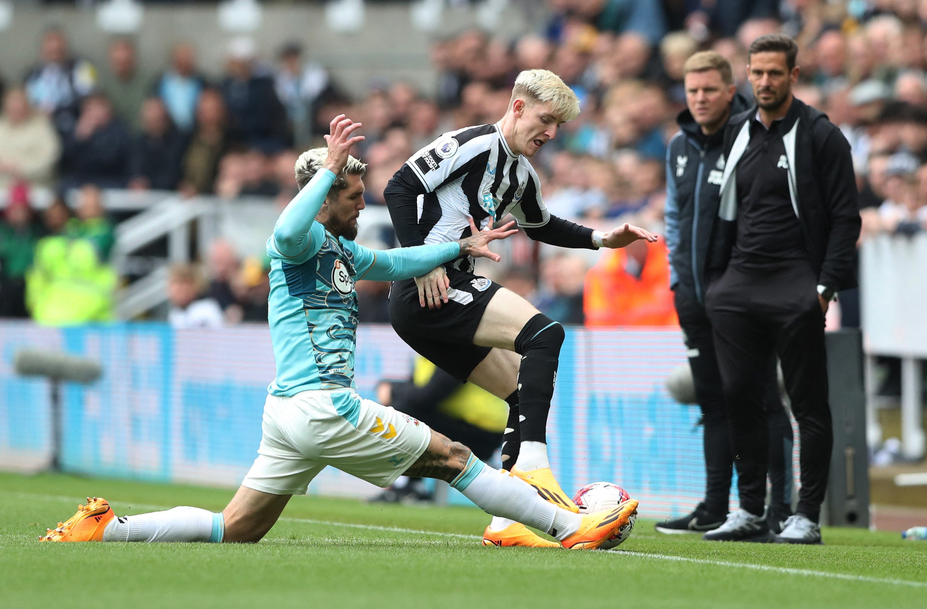 Newcastle vs Tottenham LIVE: Premier League score and updates after Isak,  Murphy and Joelinton goals