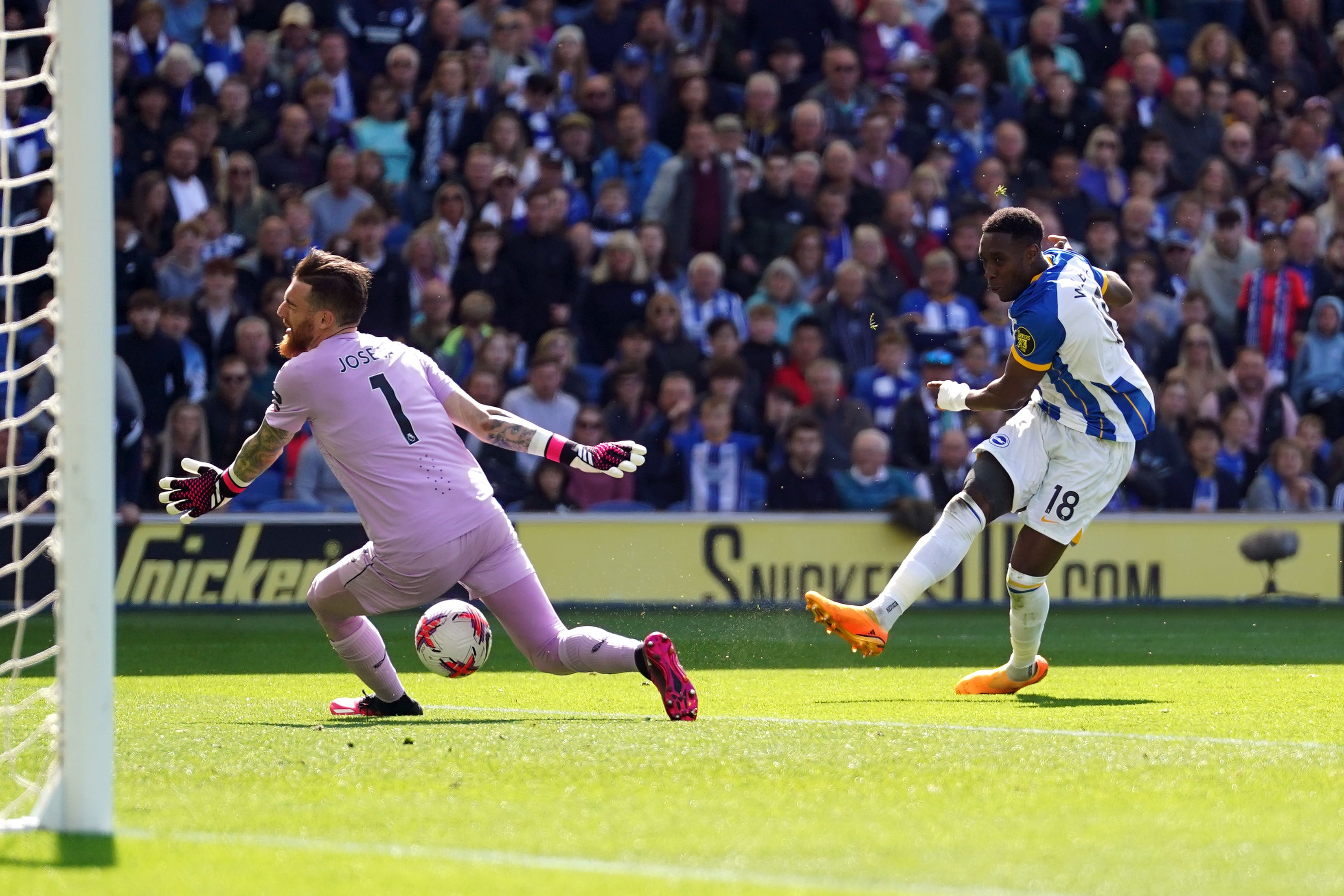 Danny Welbeck scored twice for Brighton against Wolves (Adam Davy/PA).